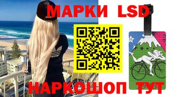 стаф Краснодар