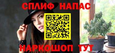 стаф Краснодар
