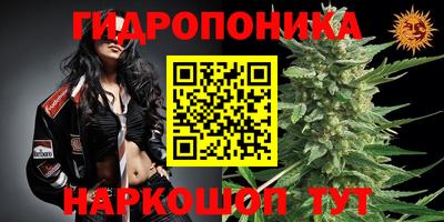 стаф Краснодар